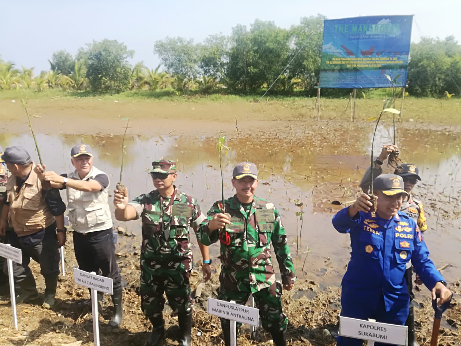 Puslatpur Marinir-6 Antralina Ikuti Penanaman 5.000 Pohon Mangrove Bersama Lanal Bandung (Lantamal III TNI AL)