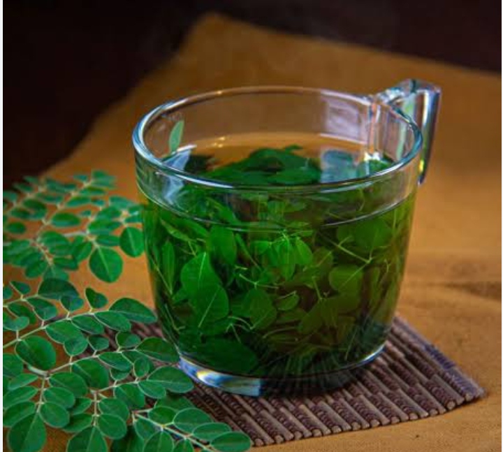 Penderita Kolestrol Wajib Tahu Ini, Berikut Manfaat Rebusan Air Daun Kelor 