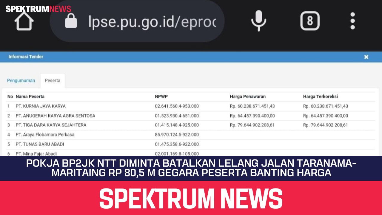 Pokja BP2JK NTT Diminta Batalkan Lelang Jalan Taranama-Maritaing Rp 80,5 M Gegara Peserta Banting Harga