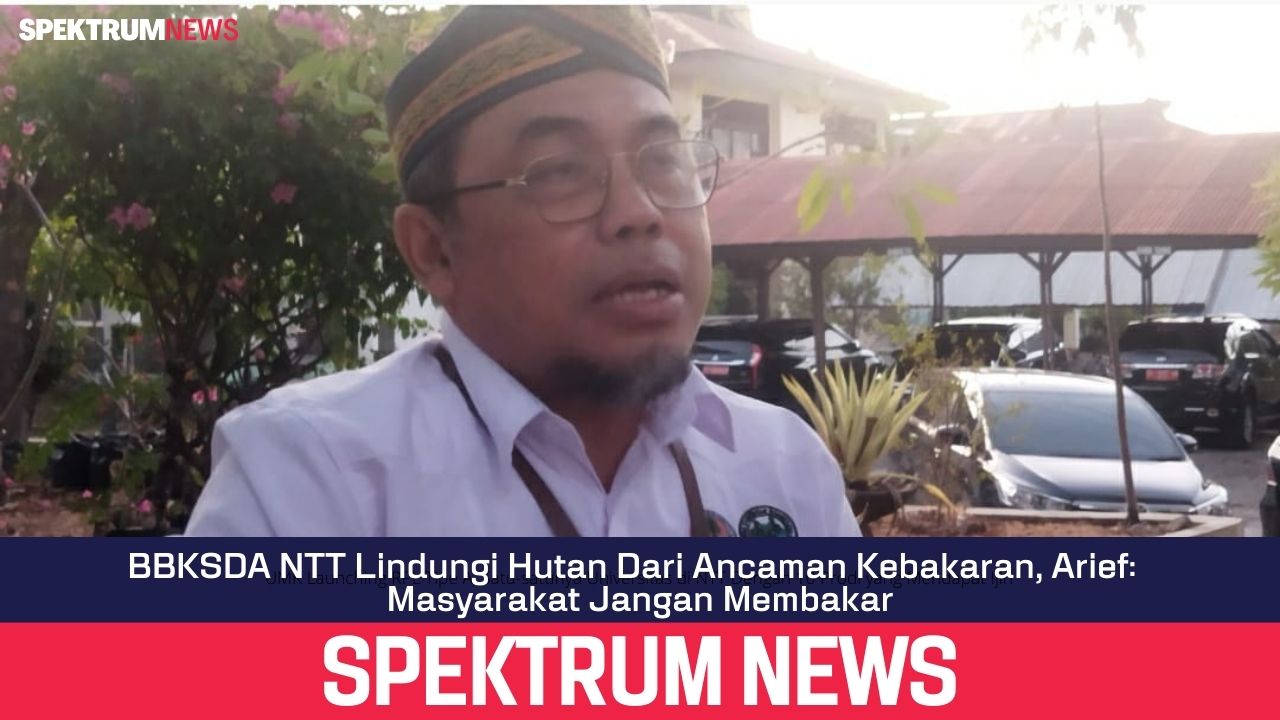 BBKSDA NTT Lindungi Hutan Dari Ancaman Kebakaran, Arief:  Masyarakat Jangan Membakar