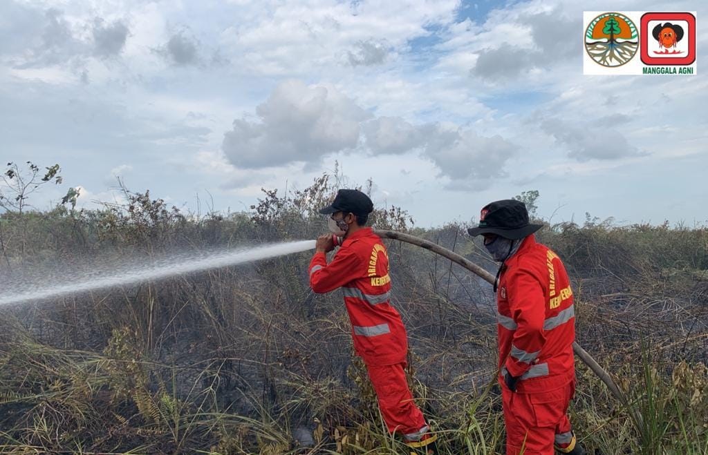 Penelitian Karhutla Harus Berbasis Data Bukan Narasi Palsu Belaka